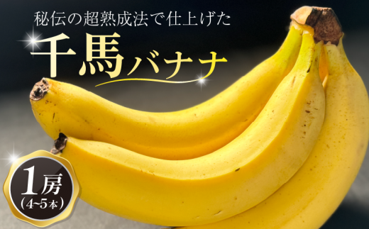 熟成 千馬バナナ 1房 (4~5本) 超熟成法仕立て 果物 バナナ ばなな 朝ご飯 朝食 おやつ 果実 フルーツ デザート スイーツ 甘味 美味しい 千馬Miyabi 城陽市 京都府 2007796 - 京都府京都府庁