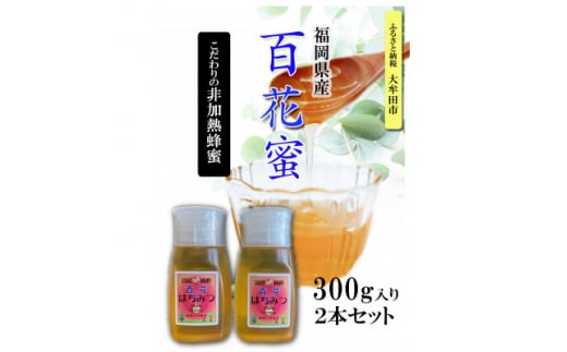 福岡県産純粋非加熱蜂蜜＜百花蜜＞300g SSCボトル入り　2本セット【1445878】 1115516 - 福岡県大牟田市