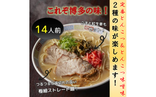 博多ラーメン14人前(大牟田市)【1257363】 405769 - 福岡県大牟田市