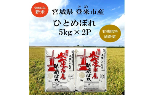 【新米】令和6年宮城県登米市産「ひとめぼれ」5kg×2袋 合計10kgセット 1519629 - 宮城県登米市