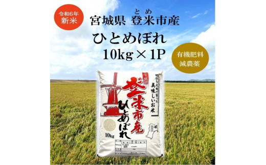 【新米】令和6年宮城県登米市産「ひとめぼれ」10kg×1袋 1519628 - 宮城県登米市