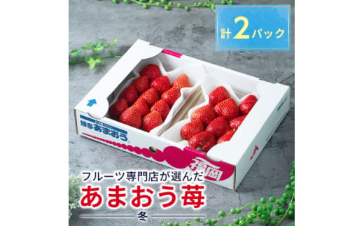 酸味と甘みの絶妙なバランス・冬あまおう2パック(大牟田市)【1226658】 404666 - 福岡県大牟田市