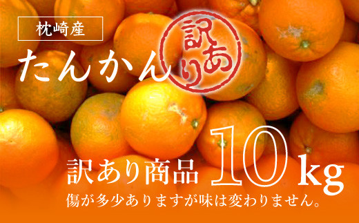 ＜訳あり＞南国特産もぎたてフルーツ たんかん10kg＜先行受付＞2月下旬より順次発送 A6-13【1466329】 1527039 - 鹿児島県枕崎市