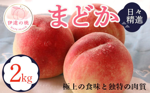 福島県産 まどか 2kg 2025年8月上旬～2025年8月中旬発送 2025年出荷分 先行予約 予約 大玉 固め 伊達の桃 桃 もも モモ 果物 くだもの フルーツ 国産 食品 F20C-609 308624 - 福島県伊達市