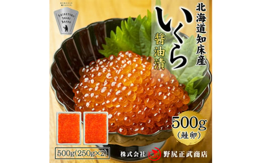 北海道知床産 鮭いくら醤油漬け 500g(250g×2)【1209680】 1427403 - 北海道斜里町