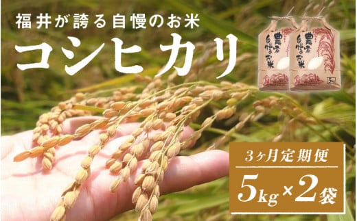 【選べる配送回数！】令和6年産　コシヒカリ　定期便（3ヶ月連続お届け）計30kg（(5kg × 2袋) × 3ヶ月）[F-10101] / お米 新米 精米 ご飯 こしひかり ごはん 米農家 農業男子 鮮度抜群 福井県鯖江市 1642985 - 福井県鯖江市