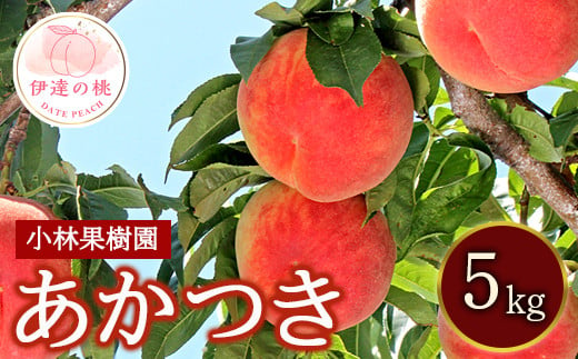 福島県産 あかつき 5kg 2025年7月下旬～2025年8月上旬発送 2025年出荷分 先行予約 予約 伊達の桃 桃 もも モモ 果物 くだもの フルーツ 名産品 国産 食品 F20C-591 307700 - 福島県伊達市