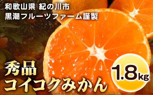 [秀品]冬のみかん コイコク(恋い告)1.8kg 黒潮フルーツファーム[11月下旬-12月下旬頃出荷]和歌山県 紀の川市 みかん フルーツ 果物