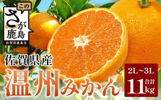 佐賀県産 温州みかん 約11kg（2L～3L混載）【11月下旬～1月上旬ごろ配送】　B-802 1520005 - 佐賀県鹿島市