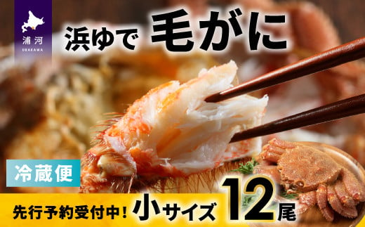 【先行受付開始！】漁協の浜ゆで毛がに 小サイズ12尾セット※日付指定対応不可※[02-1415]