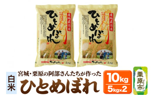 【白米】令和6年産 宮城・栗原の阿部さんたちが作ったひとめぼれ 10kg(5kg×2袋) 1264802 - 宮城県栗原市