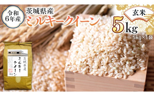 令和6年産 茨城県産 玄米 ミルキークイーン 5kg (5kg×1袋) 新米 米 コメ こめ 単一米 限定 茨城県産 国産 美味しい お米 おこめ おコメ