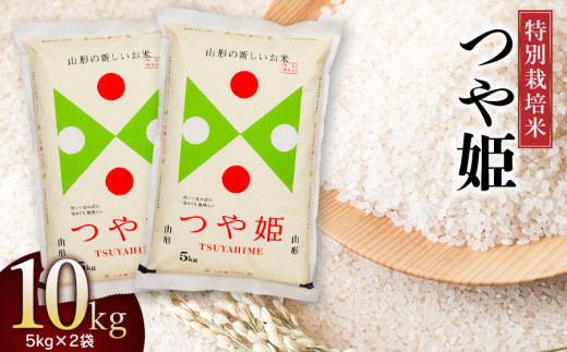 【令和6年産 新米】特別栽培米 つや姫10kg (5kg×2)　山形県庄内産 鶴岡米穀商業協同組合 970781 - 山形県鶴岡市