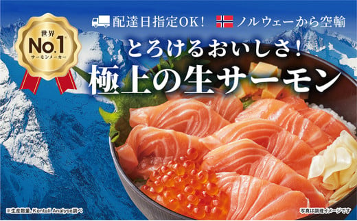 [№5904-0483]サーモン　モウイピュア・サーモン 刺身 刺身サーモン 冷蔵 新鮮 冷凍なし 生サーモン 鮭 海鮮 986673 - 千葉県成田市