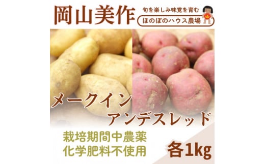 岡山県美作産じゃがいも食べ比べセット(アンデスレッド&メークイン)　各1kg【1524206】 1520360 - 岡山県美作市