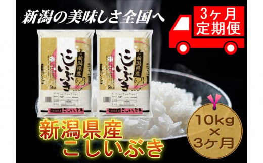 【3カ月連続お届け】新潟県産こしいぶき　5kg×2 846814 - 新潟県新潟県庁