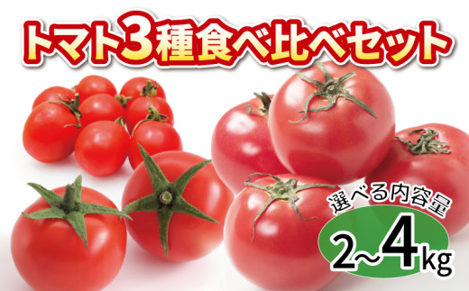 トマト ミニトマト 選べる容量 2kg 4kg 3種 食べ比べ セット 冷蔵 詰め合わせ 千果 シンディスイート かれん 野菜 完熟 糖度 果物 スイーツ ジュース パスタ スパゲティー ソース サラダ ドレッシング 鍋 サンドイッチ ハンバーガー ピザ カレー ギフト 贈答 プレゼント お取り寄せ グルメ 送料無料 徳島県 阿波市