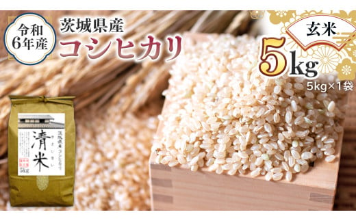 令和6年産 茨城県産 玄米 コシヒカリ 5kg (5kg×1袋) 新米 清米 キヨシマイ こしひかり 米 コメ こめ 単一米 限定 茨城県産 国産 美味しい お米 おこめ おコメ