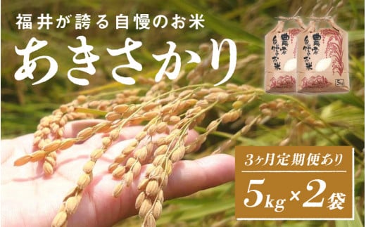 [2025年11月以降 順次発送予定][定期便あり!]令和7年産 あきさかり 5kg×2袋(計10kg)[C-10103] / お米 新米 精米 ご飯 ごはん 米農家 農業男子 鮮度抜群 福井県鯖江市 先行予約