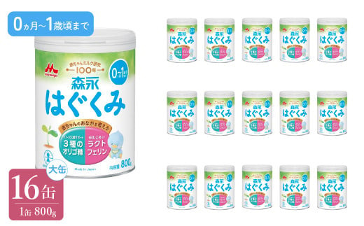 森永はぐくみ大缶（800ｇ）16缶 ふるさと納税 粉ミルク 赤ちゃん 森永乳業 タンパク質 ラクトフェリン オリゴ糖 東京都 東大和市 送料無料 HAM008