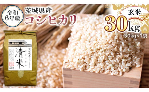 令和6年産 茨城県産 玄米 コシヒカリ 30kg（30kg×1袋） 新米 清米 キヨシマイ こしひかり 米 コメ こめ 単一米 限定 茨城県産 国産  美味しい お米 おこめ おコメ｜ふるラボ