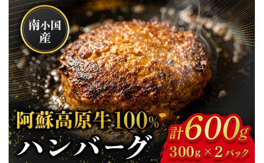  南小国産 阿蘇高原牛 牛100% ハンバーグ 600g 贅沢 牛 牛肉 国産牛 ハンバーグ ハンバーグステーキ 150g 4個 小分け 熊本県産 国産 贈答用 ギフト 熊本 阿蘇 南小国町 送料無料 1553137 - 熊本県南小国町