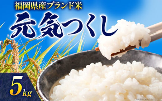 令和6年度産 福岡県産 元気つくし 5kg 1袋 白米 お米 ご飯 米 精米 送料無料 お取り寄せグルメ お取り寄せ 福岡 お土産 九州 福岡土産 取り寄せ グルメ 福岡県 1199211 - 福岡県志免町