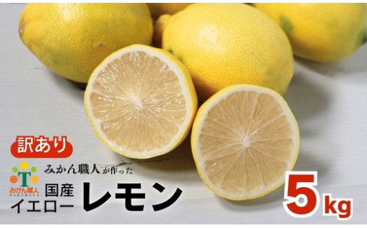 訳あり レモン（イエローレモン） 5kg りのか 減農薬 レモン イエローレモン 農家直送 こだわり らんきんぐ 柑橘 かんきつ 檸檬 果物 くだもの 果実 国産 フルーツ 有名 愛媛  ブランド 愛媛県産 瀬戸内 ビタミン 美味しい 生産者 直送 産直 無添加 レモンサワー ジュース チューハイ 愛媛県 愛南町 みかん職人武田屋