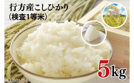 ★令和6年度産★行方産こしひかり 5kg(検査1等米)(CU-30-1) 291739 - 茨城県行方市