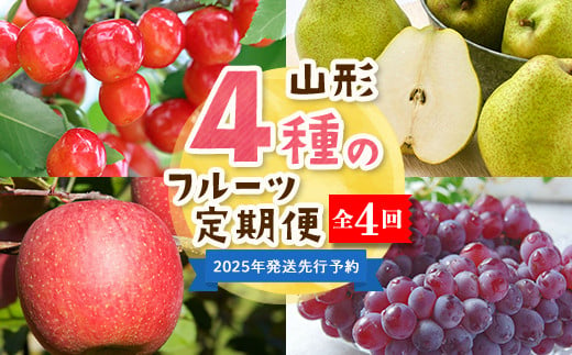 【2025年度 先行予約】4種のフルーツ定期便 全4回 さくらんぼ ぶどう 梨 りんご 果物 フルーツ FSY-2062 1881178 - 山形県山形県庁