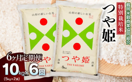 【令和6年産】特別栽培米つや姫10kg（5kg×2）【6回定期便】　山形県庄内産 969217 - 山形県鶴岡市