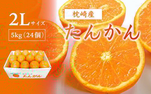 ＜2Lサイズ ＞南国特産もぎたて たんかん 5kg＜先行受付＞2月下旬より順次発送 A8-122【1466325】 1527038 - 鹿児島県枕崎市