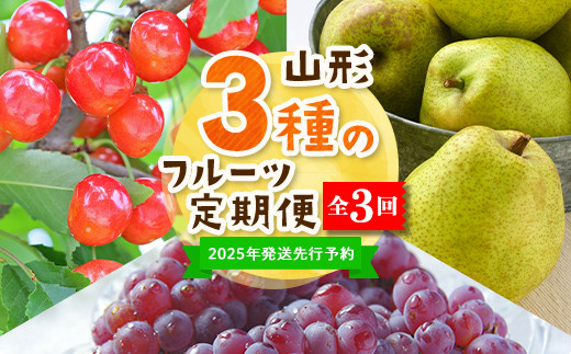 【2025年度 先行予約】3種のフルーツ定期便 全3回 さくらんぼ ぶどう 梨 果物 フルーツ FSY-2061 1881177 - 山形県山形県庁