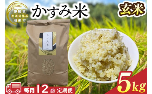 【茨城県共通返礼品/潮来市】【12ヶ月定期便】栽培期間中出来るだけ農薬を減らしたかすみ米 5kg(玄米)　茨城県潮来市産(BI-91) 1530120 - 茨城県行方市