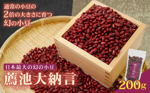 こもいけ大納言あずき200g あずき 200g 豆 小豆 あずき 幻の小豆 希少 国産 伊根町 京都府 薦池大納言 薦池 大納言 希少  1536146 - 京都府京都府庁