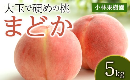 福島県産 まどか 5kg 2025年8月上旬～2025年8月中旬発送 2025年出荷分 先行予約 予約 大玉 固め 伊達の桃 桃 もも モモ 果物 くだもの フルーツ 国産 食品 F20C-592 307701 - 福島県伊達市