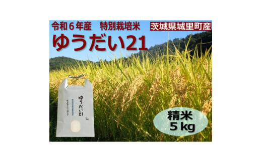 令和6年産＜R5 いばらき米の極み頂上コンテスト受賞＞特別栽培米「ゆうだい21」精米5kg【1557705】 1520346 - 茨城県城里町