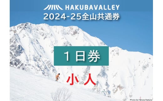 HAKUBA VALLEY 10スキー場共通小人1日券・小人(2枚)※6歳〜12歳