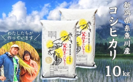 令和6年産新米 新潟県産コシヒカリ『笑穂志(えぼし)のひかり』10kg U'ファーム【米 お米 白米 こめ コメ こしひかり ご飯 ライス ふるさと納税米 新潟県 糸魚川産 2024年産 10キロ 食品 人気 おすすめ】 355032 - 新潟県糸魚川市