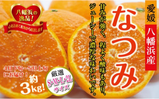 2025年4月発送開始　甘みが強くて濃厚な味わい!「なつみ」約3kg  ＜C39-57＞_ みかん ミカン 柑橘 なつみ 南津海 新品種 果物 くだもの フルーツ 旬 愛媛 濃厚 甘み 国産 産直 産地直送 贈答 ギフト 【1491395】 1122910 - 愛媛県八幡浜市