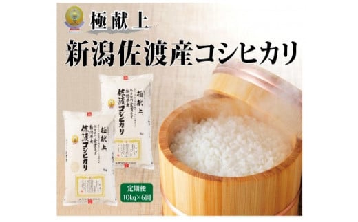 10kg【毎月定期便 6ヵ月】《食味鑑定士厳選》新潟県佐渡産コシヒカリ 1507348 - 新潟県新潟県庁