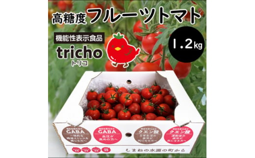 高糖度フルーツトマト「tricho(トリコ)」1.2kg【1420206】 980899 - 島根県吉賀町