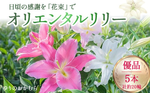 日頃の感謝を「花束」で、オリエンタルリリー【優品5本】Osy-14 誕生日 植物 フラワー プレゼント 花束 ゆり リリー お花 1431006 - 高知県四万十町