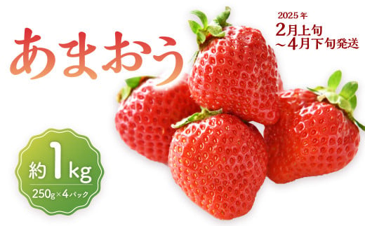 福岡県産 あまおう 1000g（250g×4パック）1kg 特大 Gサイズ 大粒 いちご 苺 あまおう 果物 くだもの フルーツ 九州産 福岡県 大刀洗町 【2025年2月上旬～4月下旬発送予定】