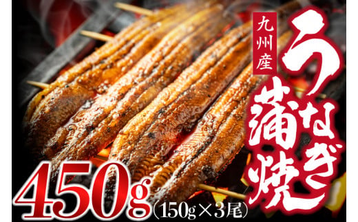 うなぎ蒲焼 国産 150g × 3尾 (有頭) 蒲焼き ウナギ 鰻 鹿児島県産 人気 オススメ 宮若市 M686 1460412 - 福岡県宮若市