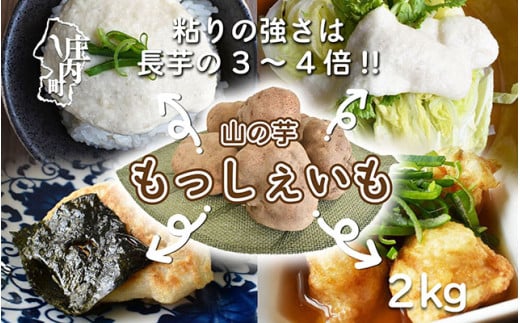 立谷沢産「もっしぇいも」山の芋２kg（11月下旬より順次発送）