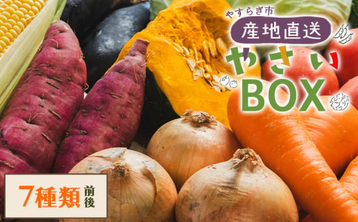 野菜 野菜セット 7種類前後 やさいBOX やすらぎ市 産地直送 - 野菜 ベジタブル おまかせ 詰め合わせ セット 季節 旬 お任せ お楽しみ ヘルシー 国産 特産品 送料無料 やすらぎ市 高知県 香南市 yr-0033