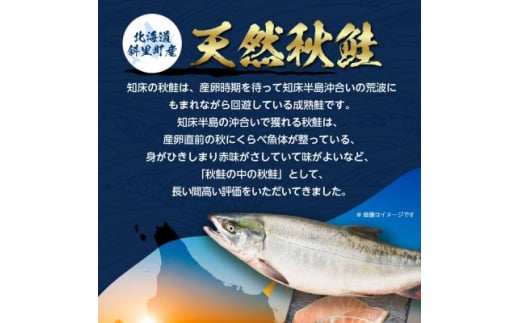 北海道斜里町のふるさと納税 ＜訳あり＞北海道斜里町産　骨なし天然秋鮭切身 2kg＜無添加＞【1507542】