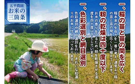 秋田県由利本荘市のふるさと納税 【白米】あきたこまち 令和6年産 秋田県産 五平農園のあきたこまち 5kg