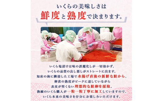 北海道斜里町のふるさと納税 北海道知床産 鮭いくら塩漬け(塩いくら)　400g【1364327】